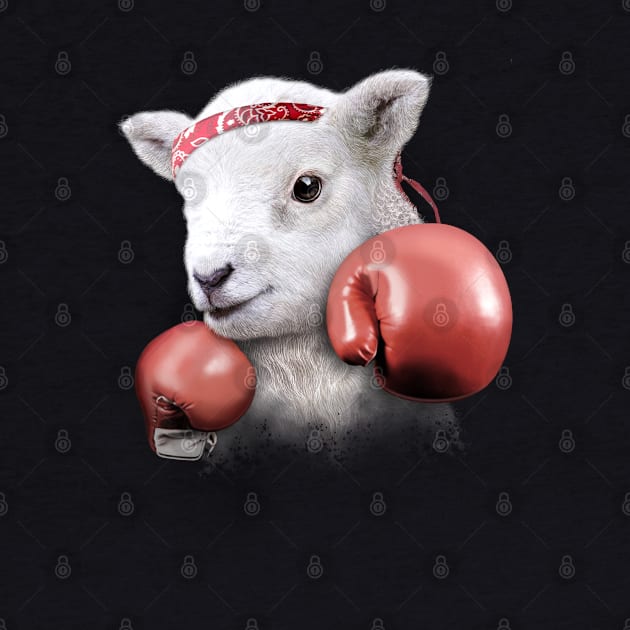 BOXING LAMB by ADAMLAWLESS